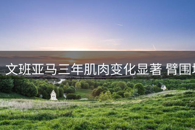 文班亚马三年肌肉变化显著 臂围增长惊人